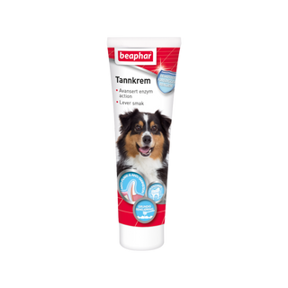 Tannkrem með ensímum