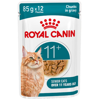 Ageing 11+ - Blautfóður