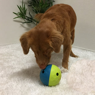Treat Tumble