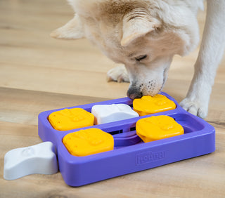 Dog Bricks heilaþraut