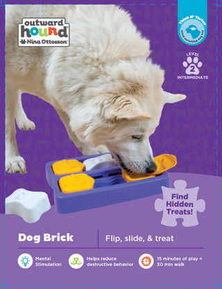 Dog Bricks heilaþraut