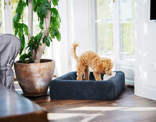 Pile áklæði á Bia Bed