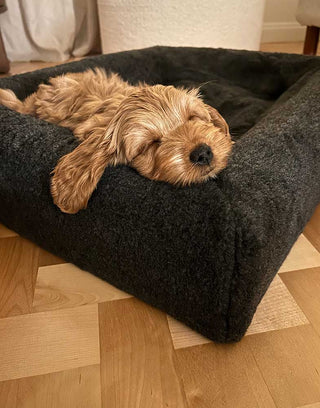 Pile áklæði á Bia Bed