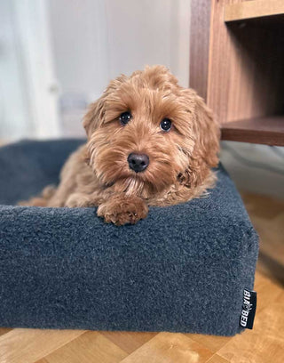 Pile áklæði á Bia Bed