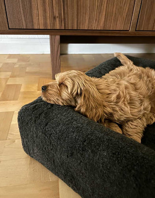 Pile áklæði á Bia Bed