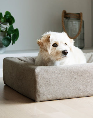 Skanör áklæði á Bia Bed