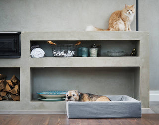 Bómullar áklæði á Bia Bed