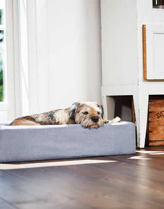 Bómullar áklæði á Bia Bed