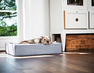 Bómullar áklæði á Bia Bed