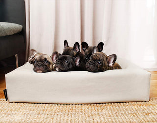 Bómullar áklæði á Bia Bed