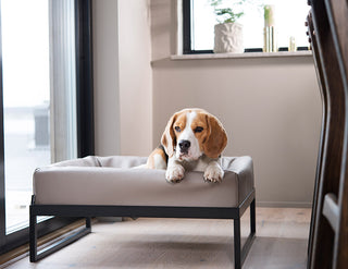 Upphækkaður Bia Bed standur