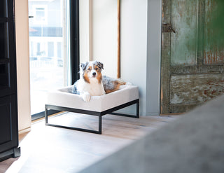 Upphækkaður Bia Bed standur