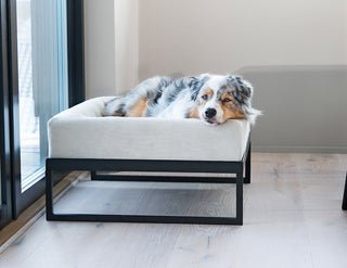 Upphækkaður Bia Bed standur