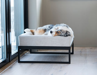 Upphækkaður Bia Bed standur