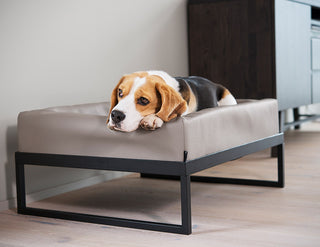 Upphækkaður Bia Bed standur