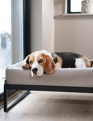 Upphækkaður Bia Bed standur