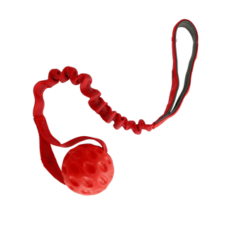 Puppy bungee sterkur bolti