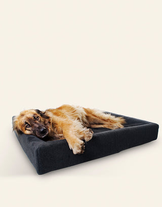 Pile áklæði á Bia Bed