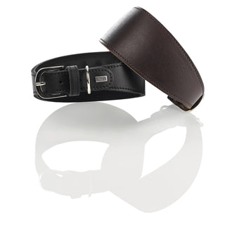 Leðuról fyrir mjóhunda