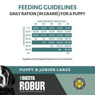 Puppy & Junior Large