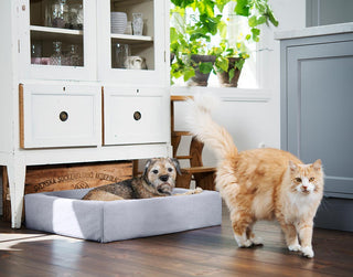 Bómullar áklæði á Bia Bed