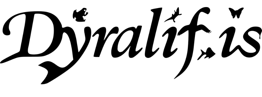 Uniq logo