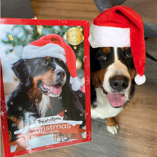 Jóladagatal fyrir hunda