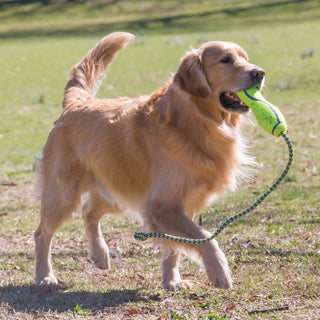 KONG AirDog® Squeaker