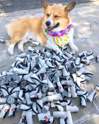 Plastlausir kúkapokar