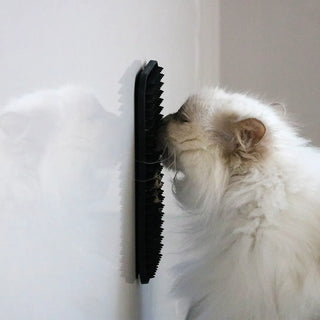 Sleikimotta fyrir ketti