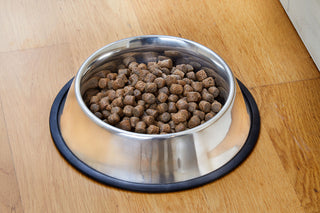 Fóðurskál úr ryðfríu stáli