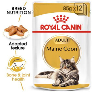 Maine Coon Adult - Blautfóður 12x85gr