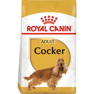 Cocker Spaniel