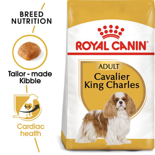 Cavalier King Charles