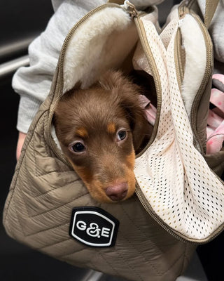 ComfortCuddle burðartaska